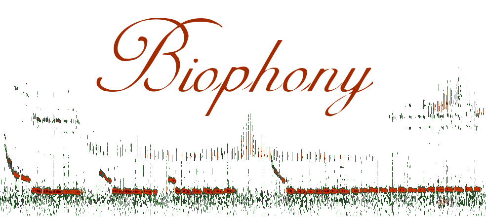 biophony